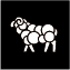 Merino Wool