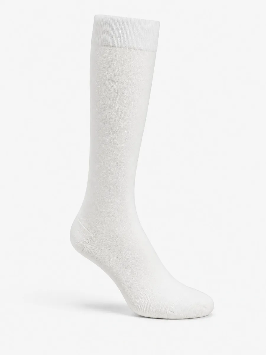 C710213_020_101_4f92867e00086212960dcba61306f5d0-1.png